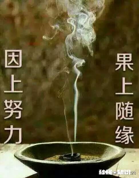 如果人生可以重来,你会活成谁的模样