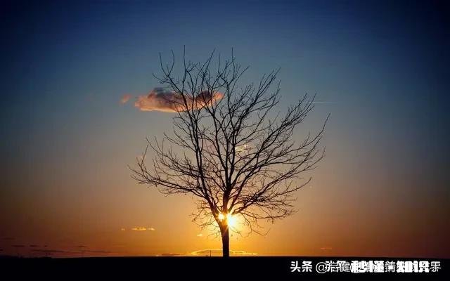 和女生喝完酒,她主动挽着我,让我陪她荡秋千,这样我可以表白嘛