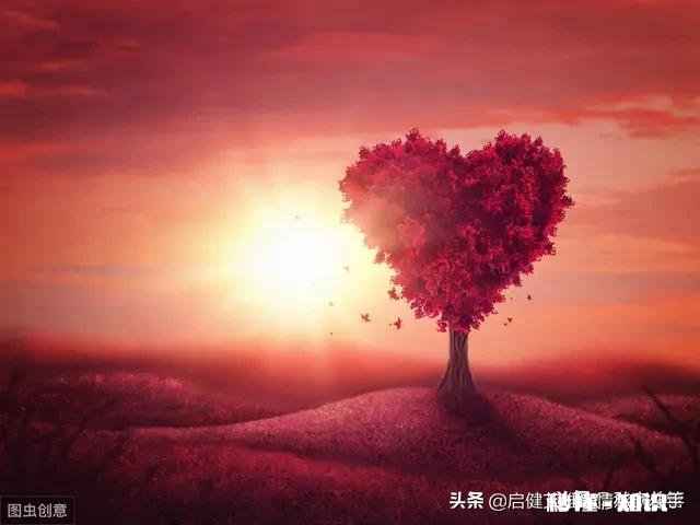 和女生喝完酒,她主动挽着我,让我陪她荡秋千,这样我可以表白嘛