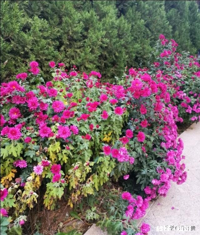 怎么布置孩子学习屋能拍照图片吗