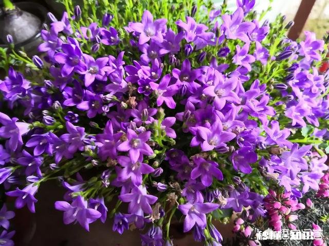 2019年哪个瞬间发生了什么事情，让你下定决心辞职呢最后辞职了吗