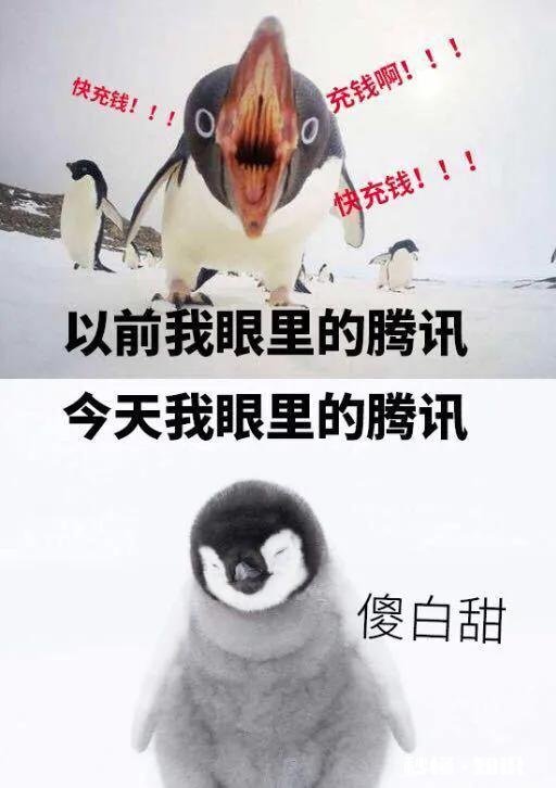 为什么腾讯被骗，全网都在吃瓜吃得很开心