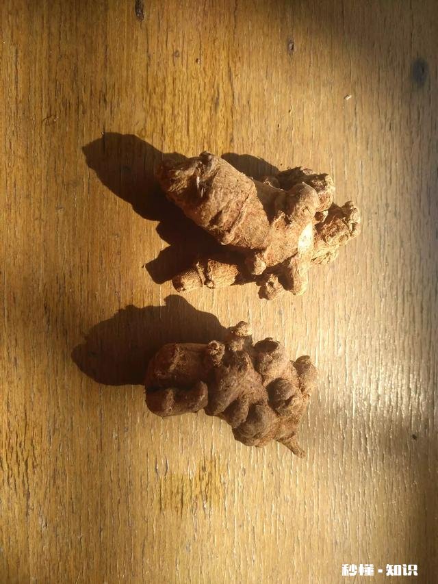 秋天喉咙痛有什么小妙招推荐