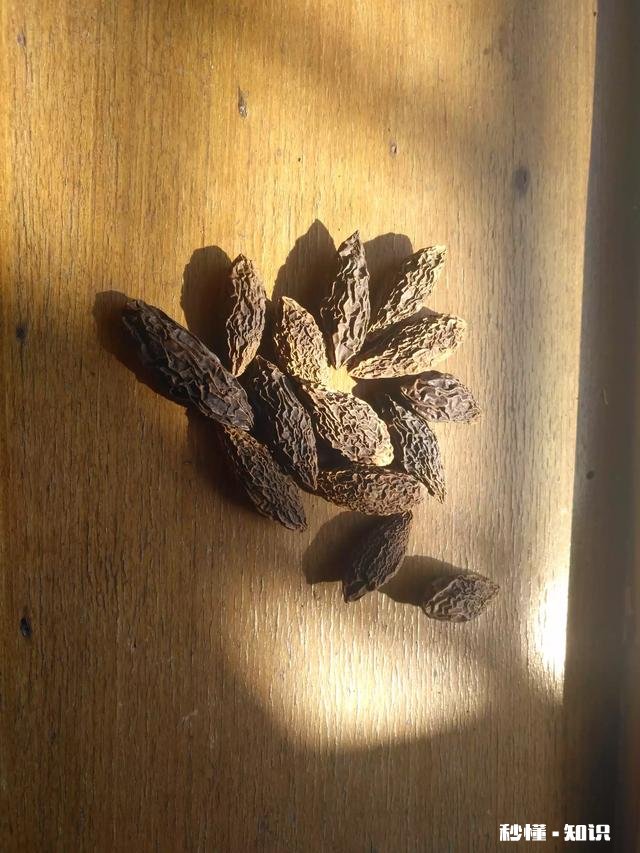 秋天喉咙痛有什么小妙招推荐