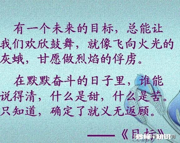 普高到底好不好