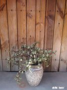 很想自己为自己做事，可是现在外债欠十几万，我该怎么做