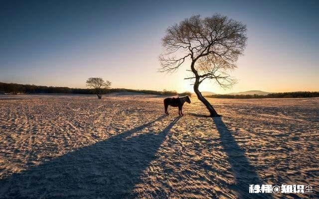 当前疫情下，你对人类的未来如何看待