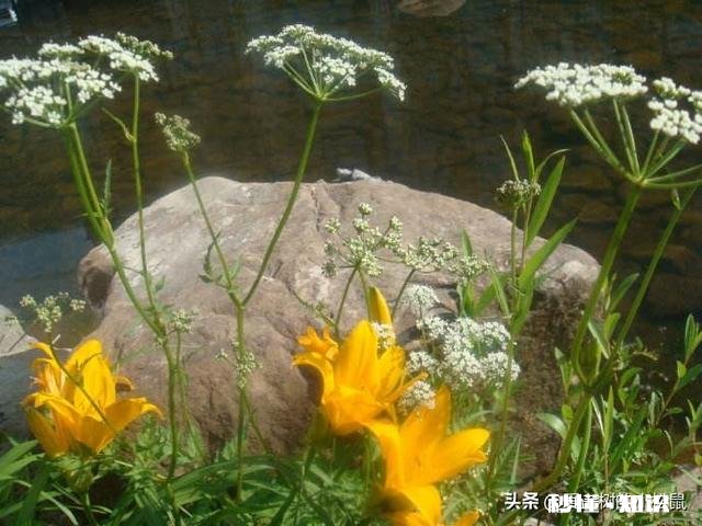 当前疫情下，你对人类的未来如何看待