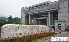 四川理科女生，川农的园林和川师的英语，选哪个比较好