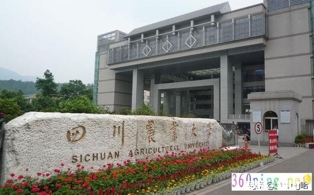 四川理科女生,川农的园林和川师的英语,选哪个比较好