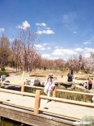 大多数跳广场舞的人都是业余爱好者，我们与专业舞蹈演员差距有多大