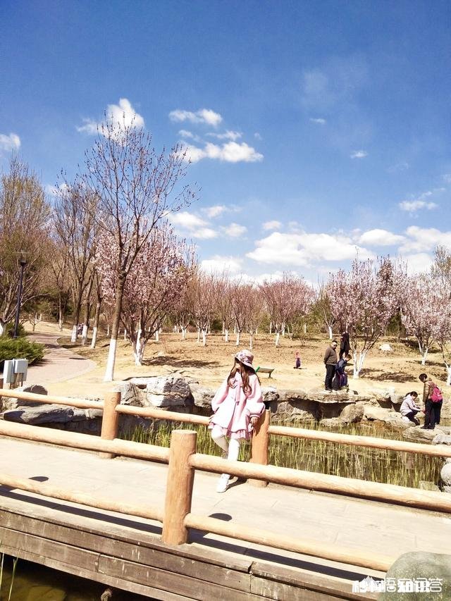 大多数跳广场舞的人都是业余爱好者，我们与专业舞蹈演员差距有多大