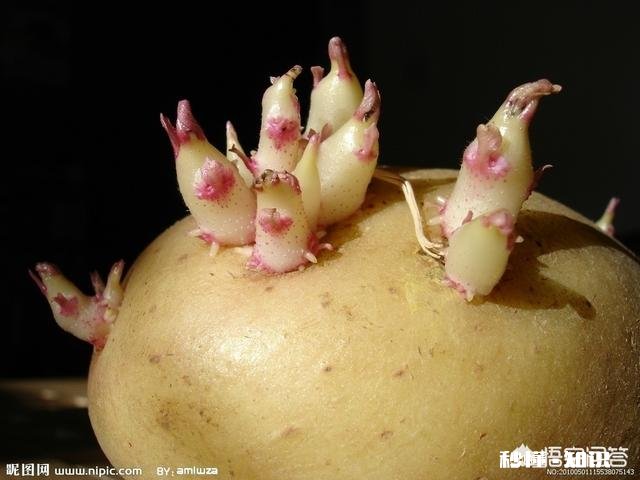 为什么很多古文经典有多种解释都倾向于模糊，含蓄。如《道德经》《易经》等