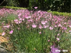 被女性朋友删除微信还有机会吗