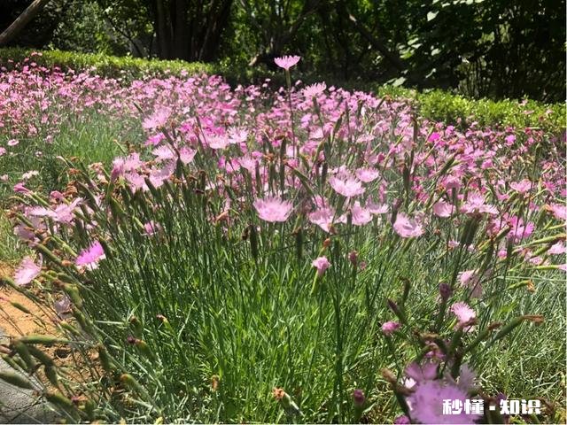 被女性朋友删除微信还有机会吗