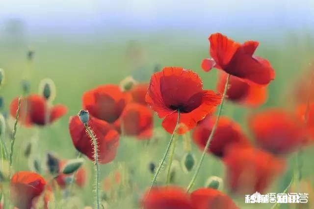 老师能公平的对待每个学生吗