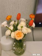 遇到喜欢的女孩怎么办