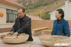 苏大强和谢广坤，哪个爹更让你你恐惧