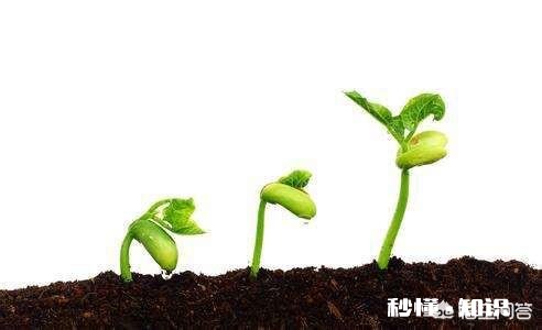 农业种植中难免遇到“假种子”,农民该如何避免买到“假种子”