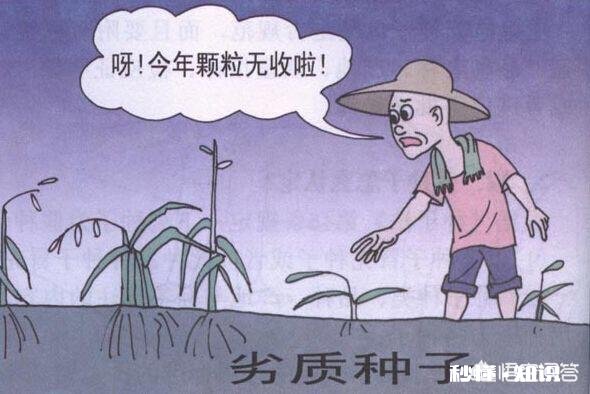 农业种植中难免遇到“假种子”,农民该如何避免买到“假种子”