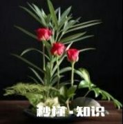 能否举一实例说明一下你对忍字的理解到什么程度了