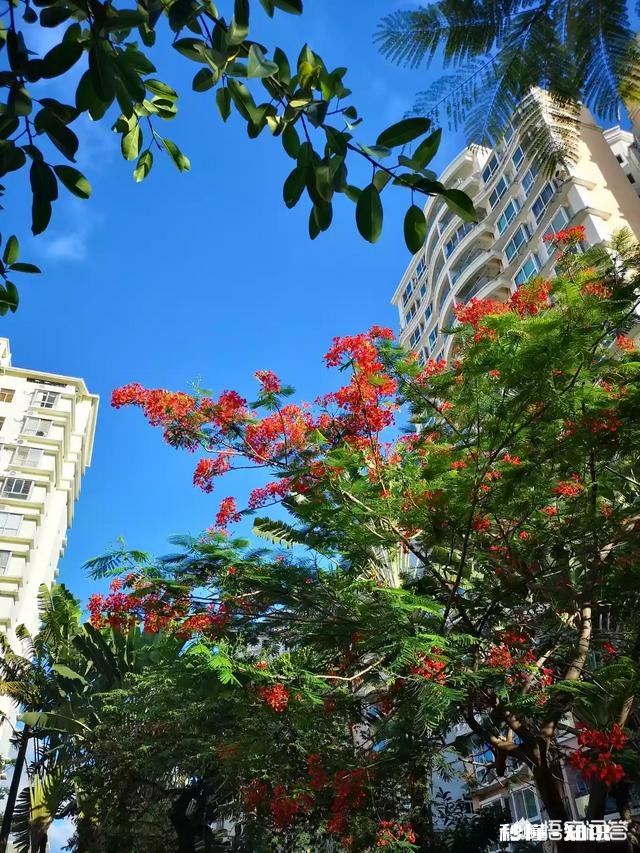 海南6月份还能去旅游吗