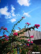 海南6月份还能去旅游吗