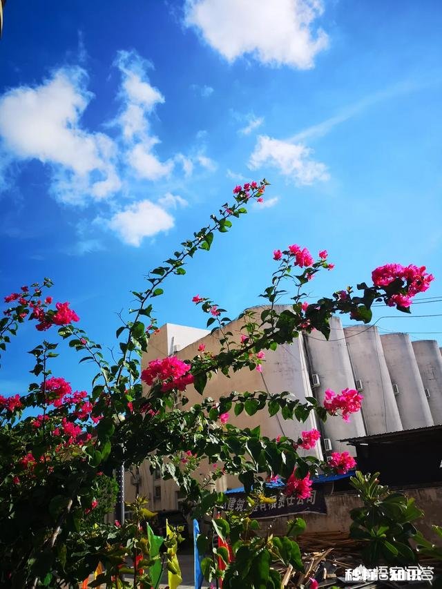 海南6月份还能去旅游吗