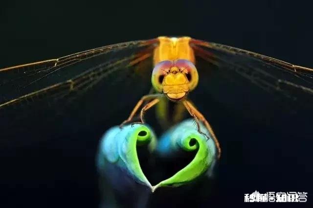 是不是所有未PS的单反照片都是不合格的