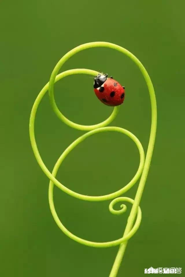 是不是所有未PS的单反照片都是不合格的