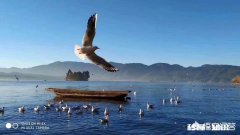 在偏远小城市工资2400且没有五险，应该去吗