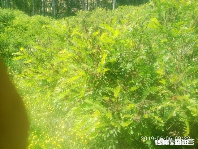 女生和我聊的蛮多的,每天基本一个多小时,但是有男朋友能追到吗