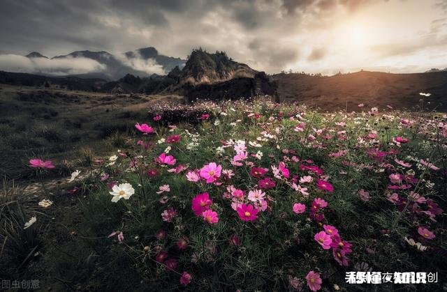 如果你的婆婆经常在你面前提到他前任,你会怎么做