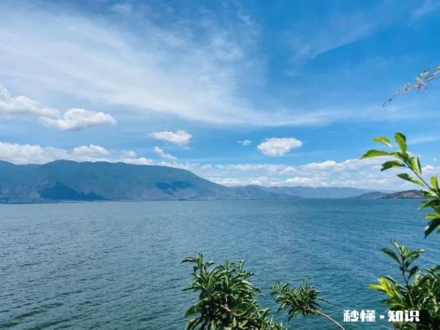 2022年三亚酒店为何这么火