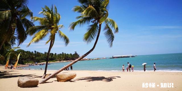 2022年三亚酒店为何这么火