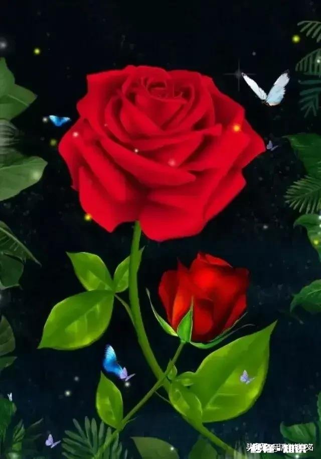 求下联，前浪后浪要浪才会有名堂