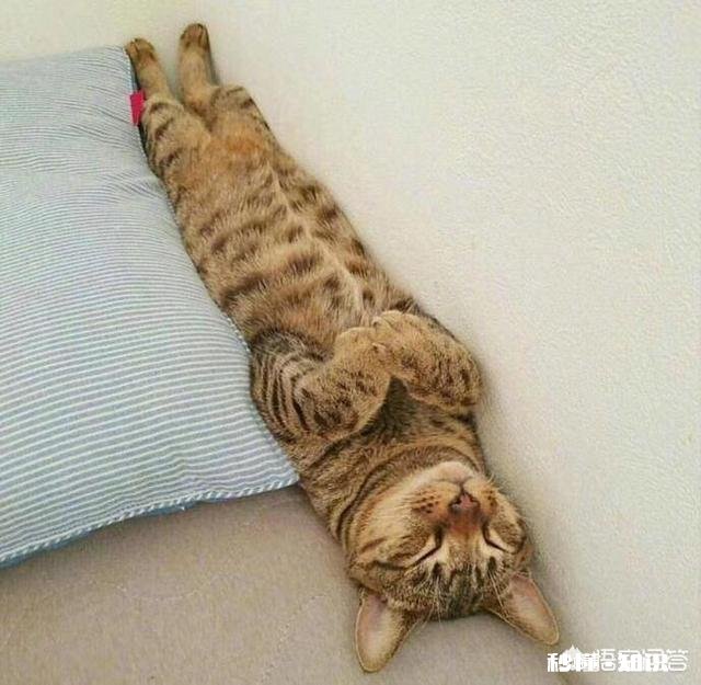 想从事策划之类的工作，该如何入手呢