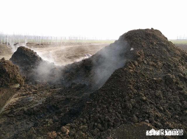 都说农家肥种出来的蔬菜比用化肥的好吃,农村哪里还有有机肥的来源呢