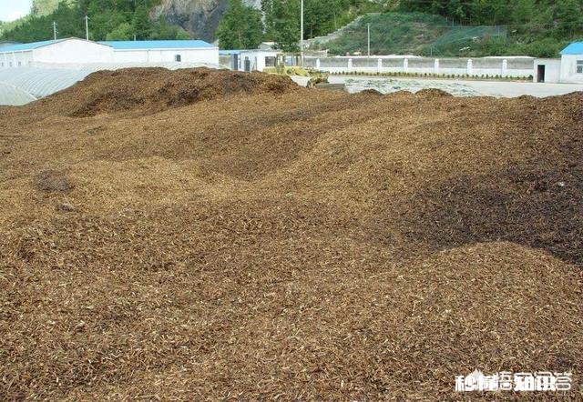 都说农家肥种出来的蔬菜比用化肥的好吃,农村哪里还有有机肥的来源呢