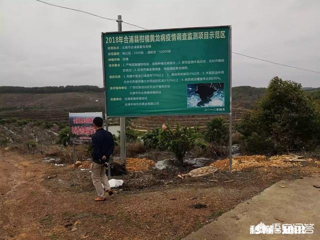 都说农家肥种出来的蔬菜比用化肥的好吃,农村哪里还有有机肥的来源呢