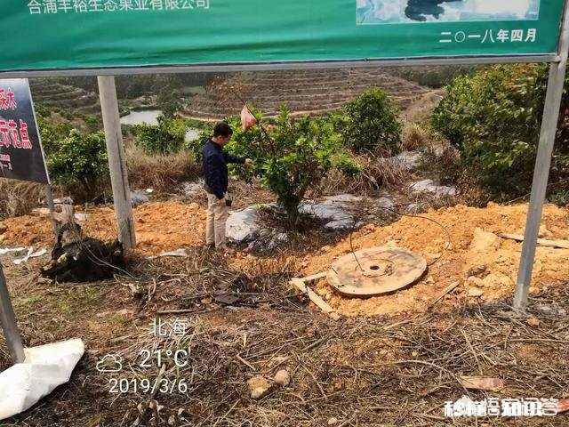 都说农家肥种出来的蔬菜比用化肥的好吃,农村哪里还有有机肥的来源呢