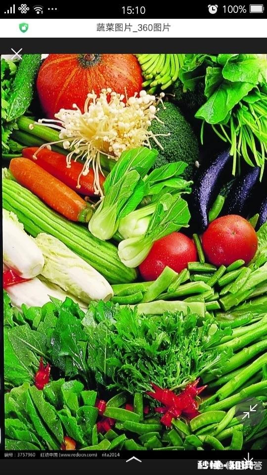 都说农家肥种出来的蔬菜比用化肥的好吃,农村哪里还有有机肥的来源呢