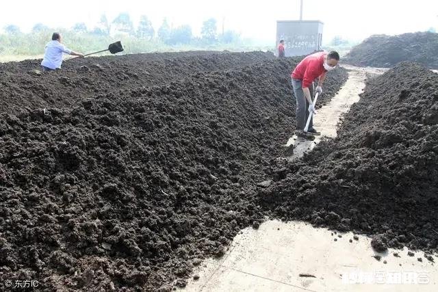 都说农家肥种出来的蔬菜比用化肥的好吃,农村哪里还有有机肥的来源呢