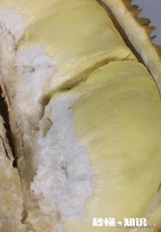 榴莲和菠萝蜜哪个吃起来更香,营养价值哪个更高