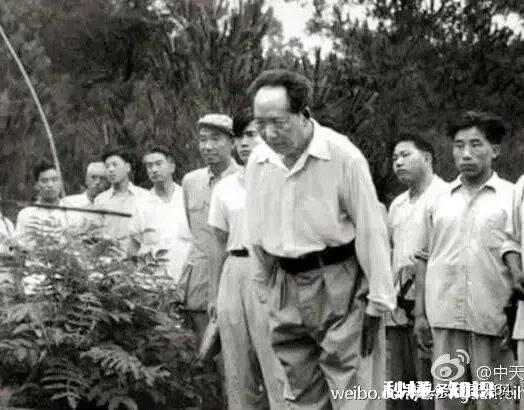 为什么有人说江西是安徽的老表,历史上这种说法有何依据