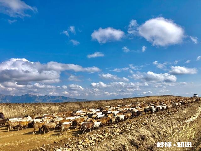 领导叫我给他交话费300元,过了一星期了没给我,这钱我还要吗