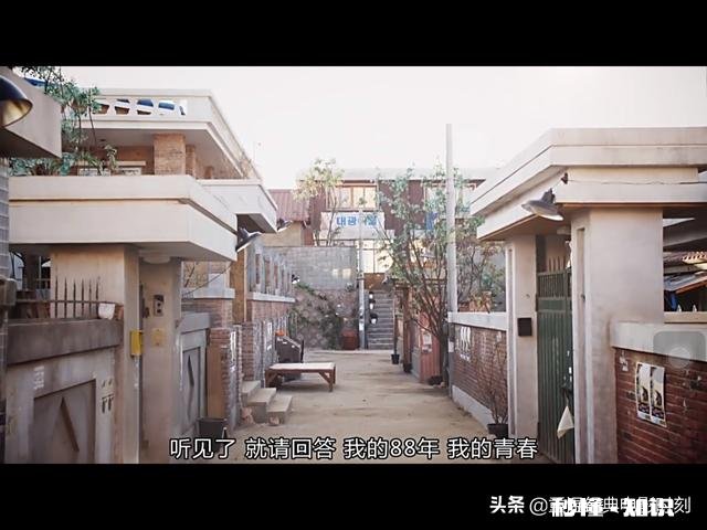 《请回答1988》追完最大的感受是什么