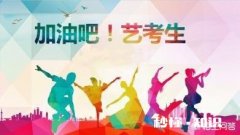 山东美术生联考243.文科480能报什么学校