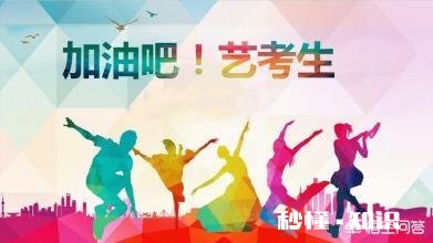 山东美术生联考243.文科480能报什么学校