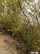 蹚过雨水的网眼儿鞋,刷鞋过后如何去除残留在鞋上的臭味、异味